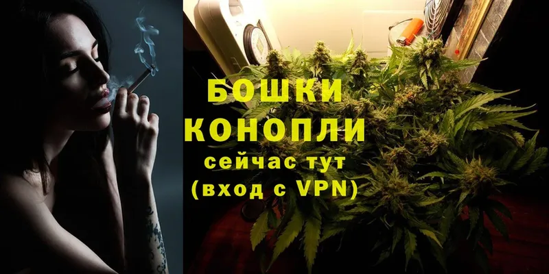 Каннабис Bruce Banner  Лодейное Поле 